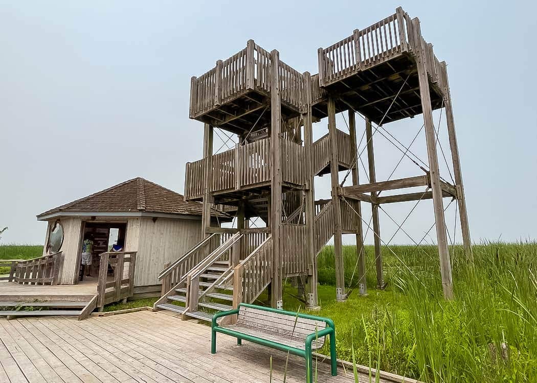 Point-Pelee-National-Park-Marsh-Boardwalk-Lookout