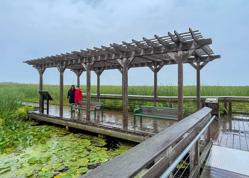 Point-Pelee-National-Park-Marsh-Boardwalk-Pergola