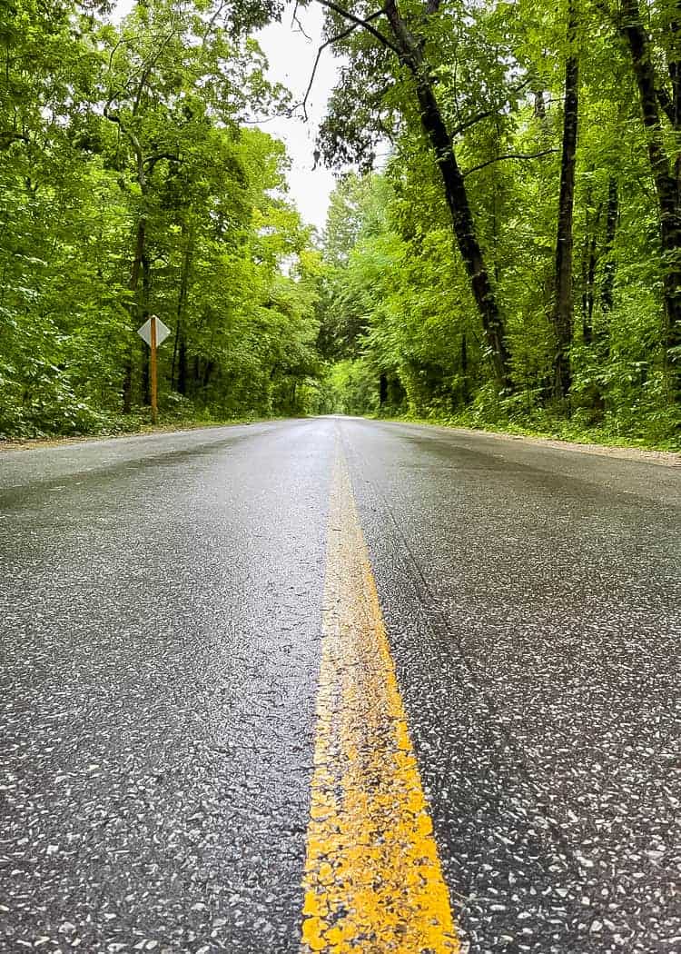 Point-Pelee-National-Park-Roadway
