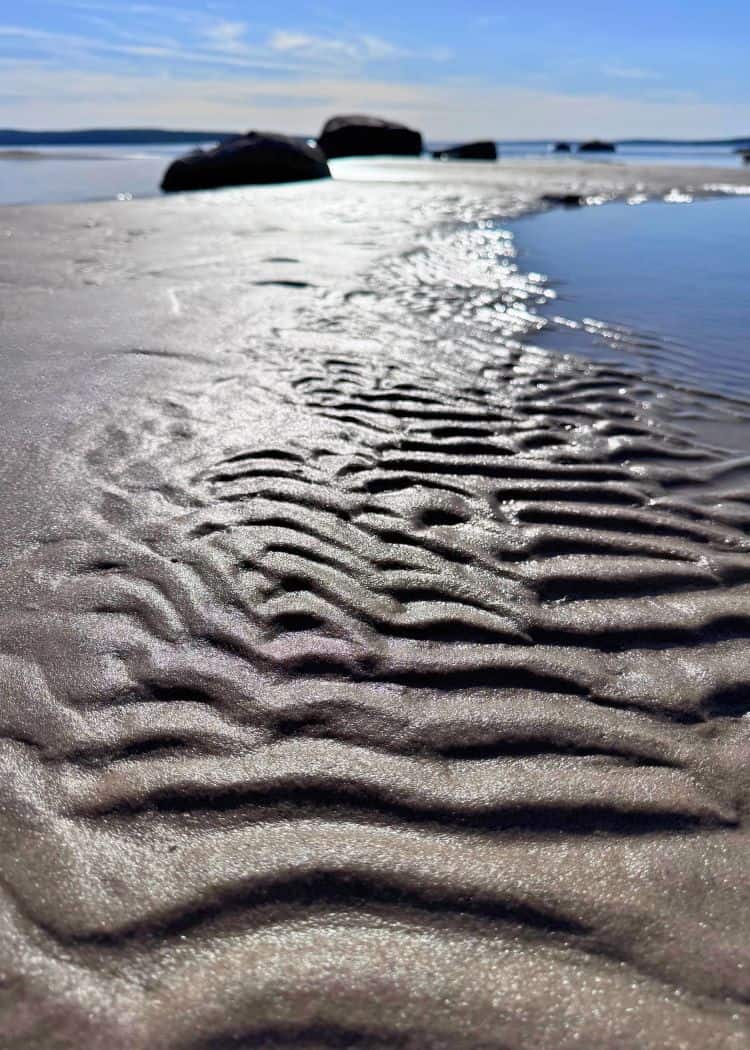 Awenda Provincial Park - Beach 4 patterns in the sand