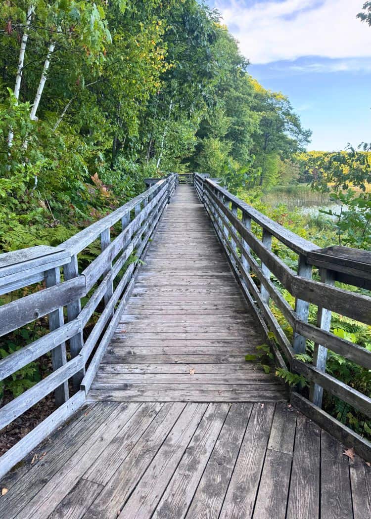 Awenda Provincial Park - Boardwalk on Trail