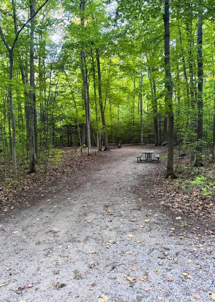 Awenda Provincial Park - Empty Campsite