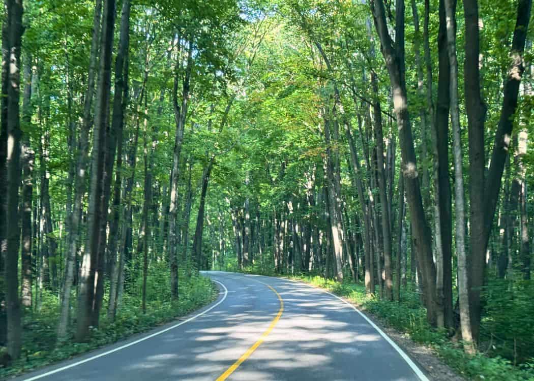 Awenda Provincial Park - Main Campground Road