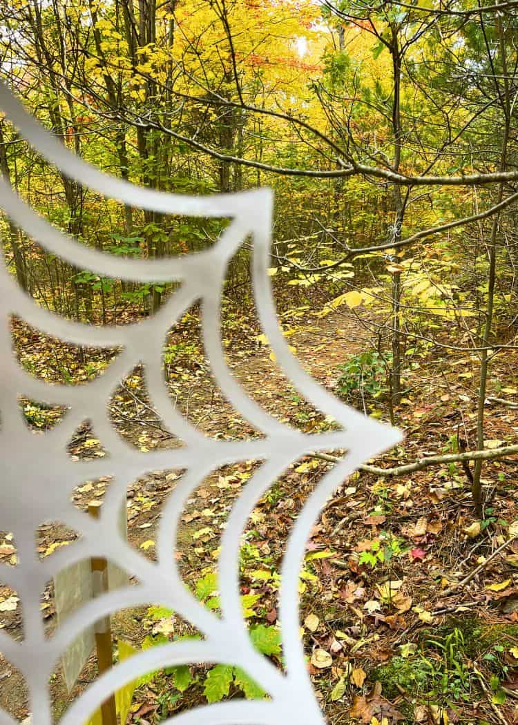 Ontario Parks Halloween - Spider web decoration in tree