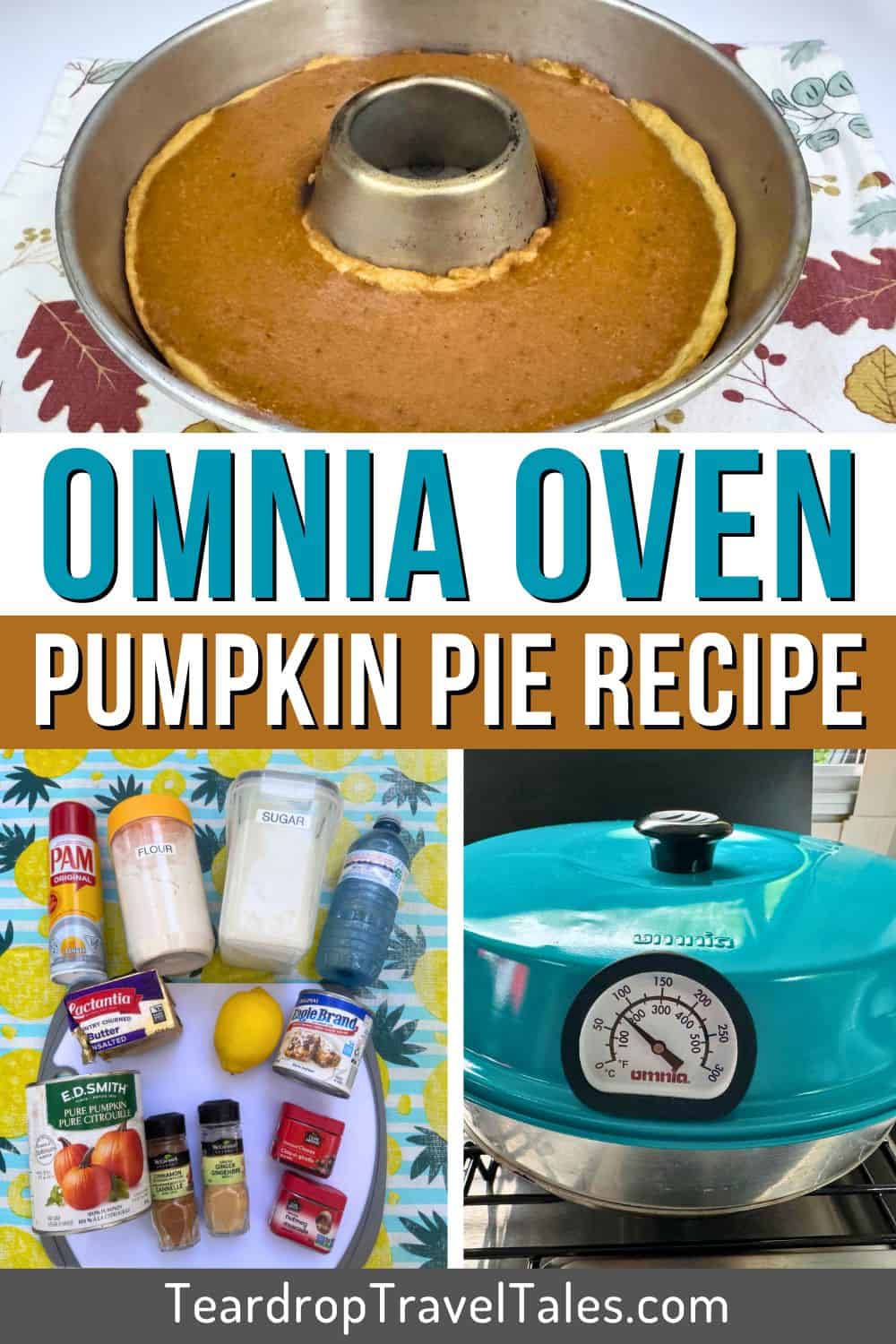 Pumpkin Pie Omnia Oven Recipe - Pinterest Pin 1