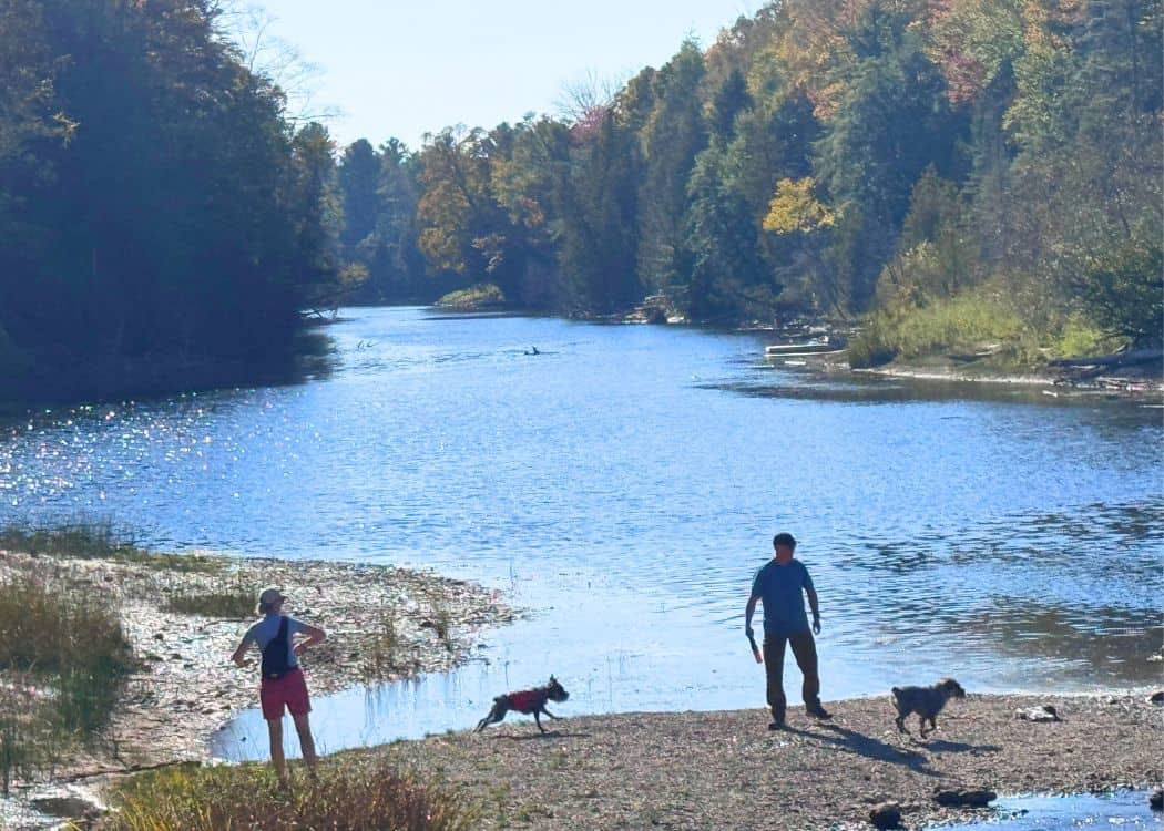 Sauble Falls Provincial Park - Dogs at the base of the Falls