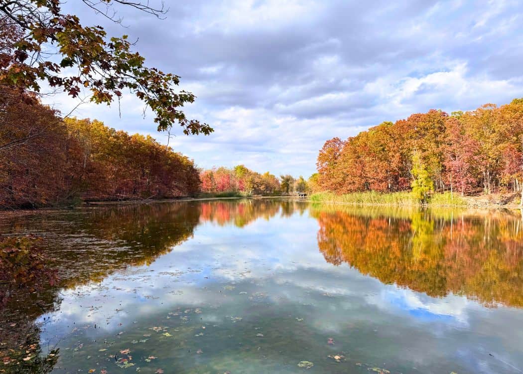 Wheatley Provincial Park - Fall colours over Sugar Creek