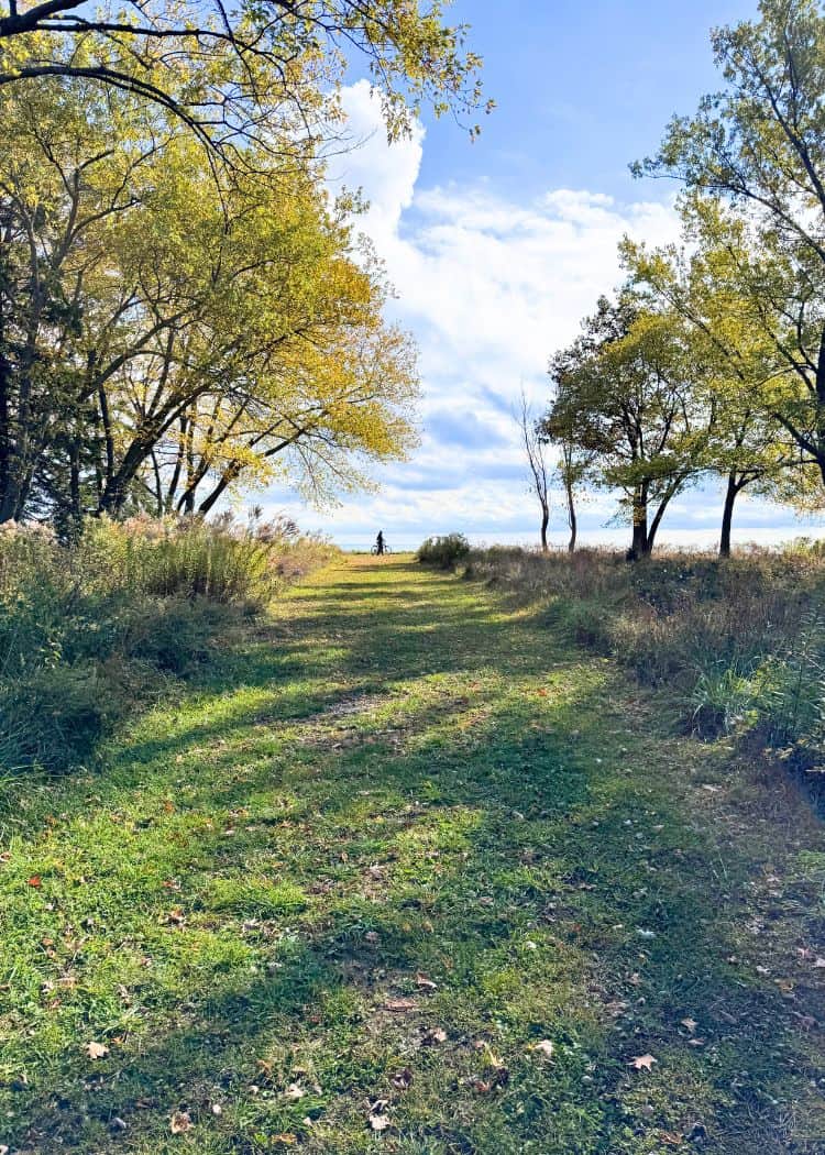 Wheatley Provincial Park - Grassy path on the trail