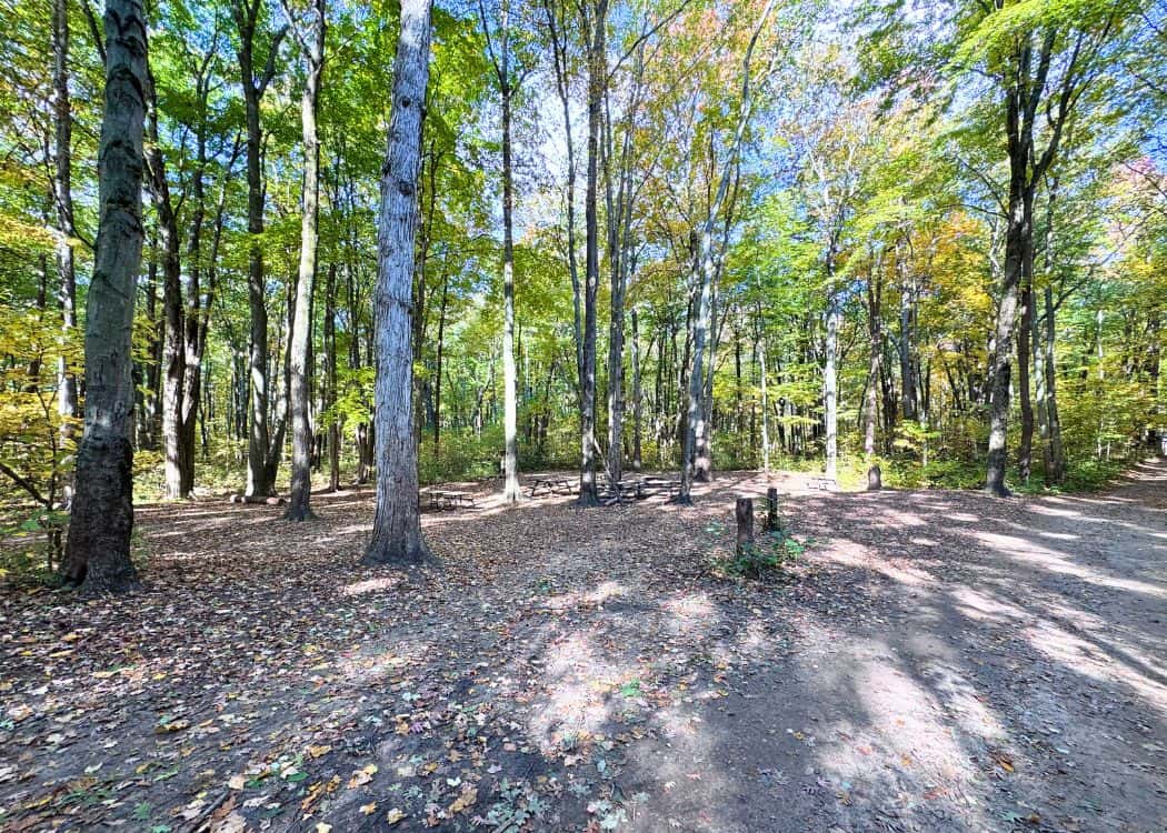Wheatley Provincial Park - Group campsite