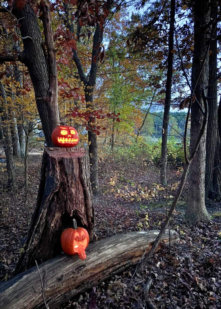 Wheatley Provincial Park - Jack-o-lanterns on our site at night