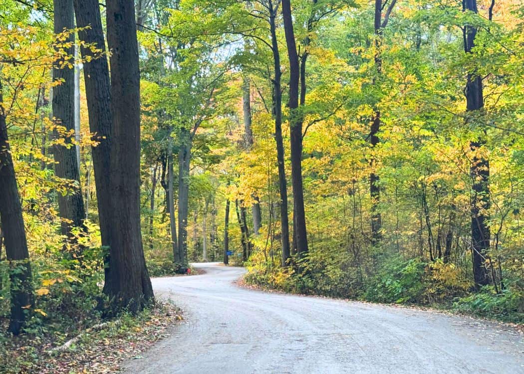 Wheatley Provincial Park - Main Park Road