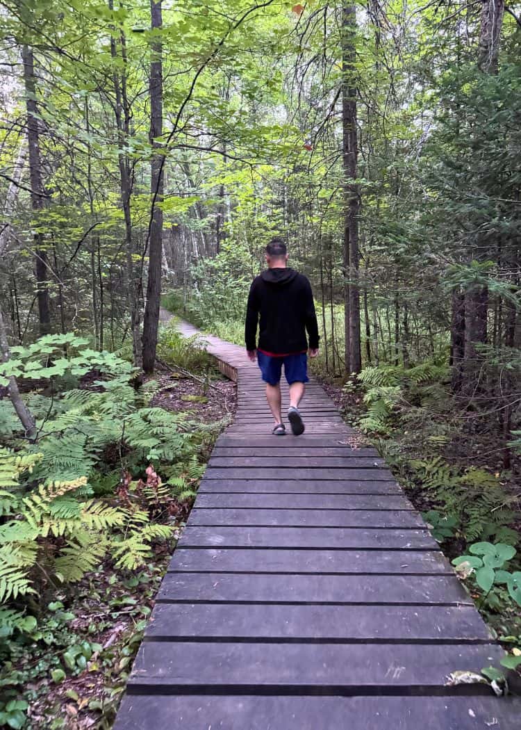 Mikisew Provincial Park - Boardwalk on the Maple Canyon Trail