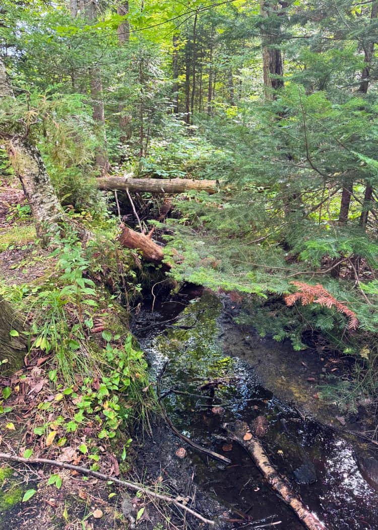 Mikisew Provincial Park - Creek running through our campsite