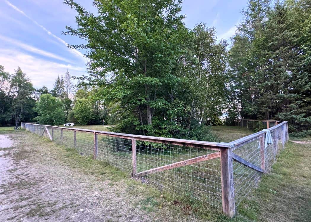 Mikisew Provincial Park - Leash free pet exercise area