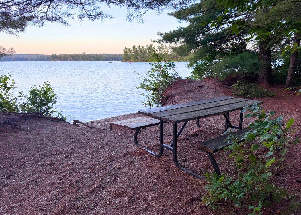 Mikisew Provincial Park - Picnic table on the Point Trail