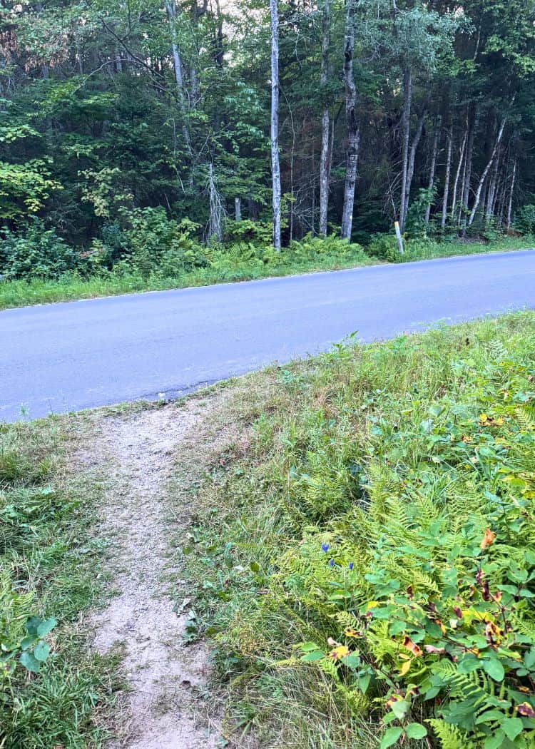 Mikisew Provincial Park - Road Crossing on Old Dog Trail