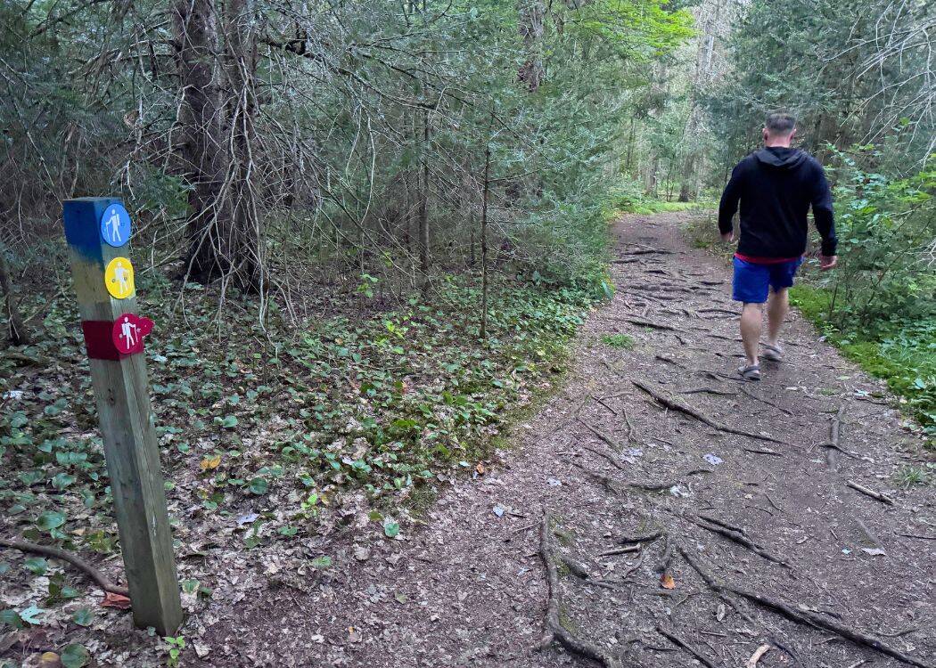 Mikisew Provincial Park - Walking on the Beaver Meadow Trail