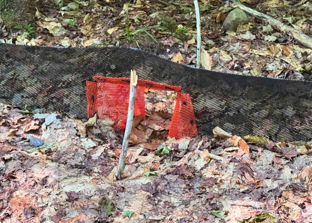 Killbear Provincial Park - Breaks in the fence for snakes