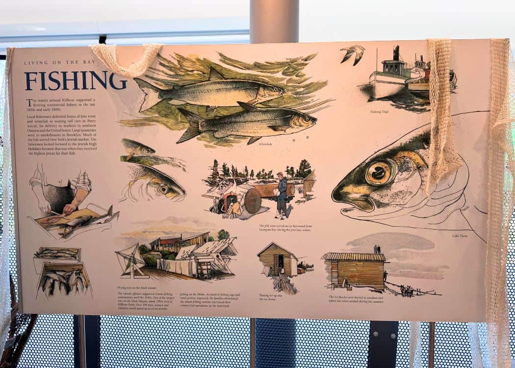 Killbear Provincial Park - Fishing display in Visitor Centre