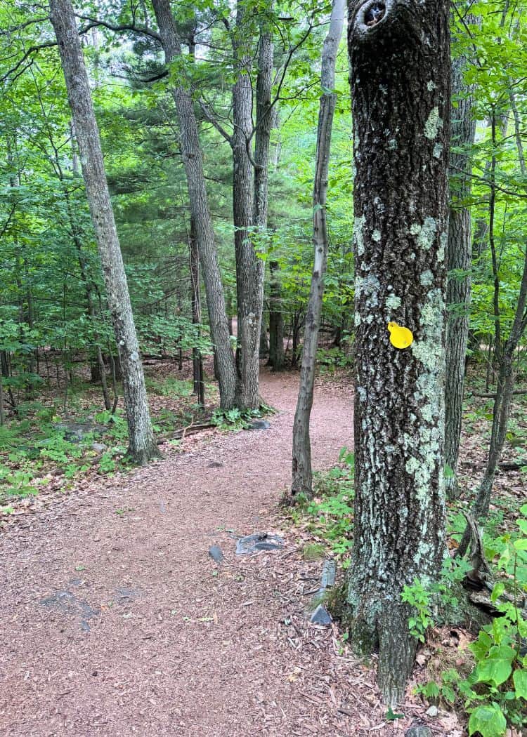 Killbear Provincial Park - Lighthouse Point Trail from the left