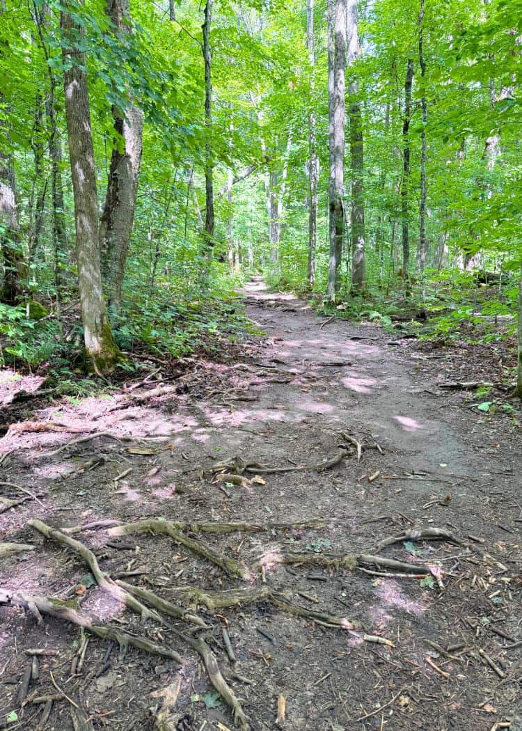 Arrowhead Provincial Park - Rougher terrain on trail