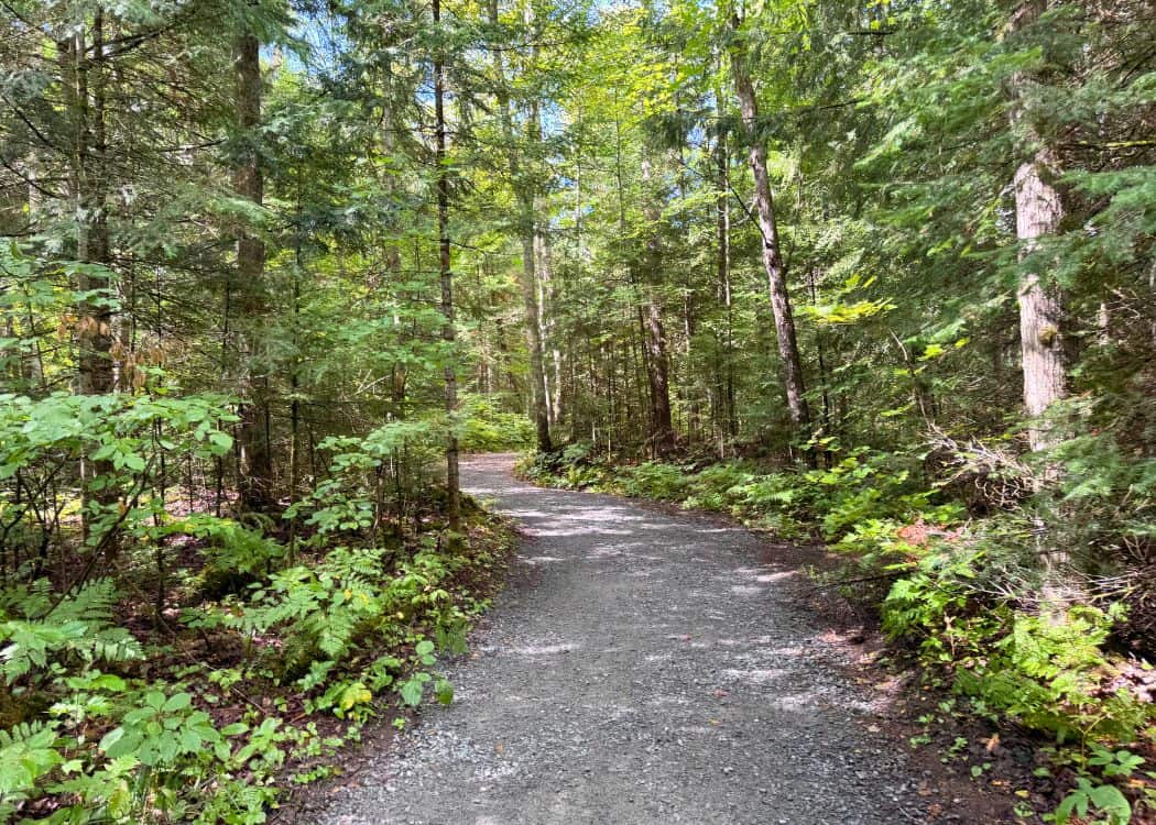 Arrowhead Provincial Park - Stubbs Falls Trail