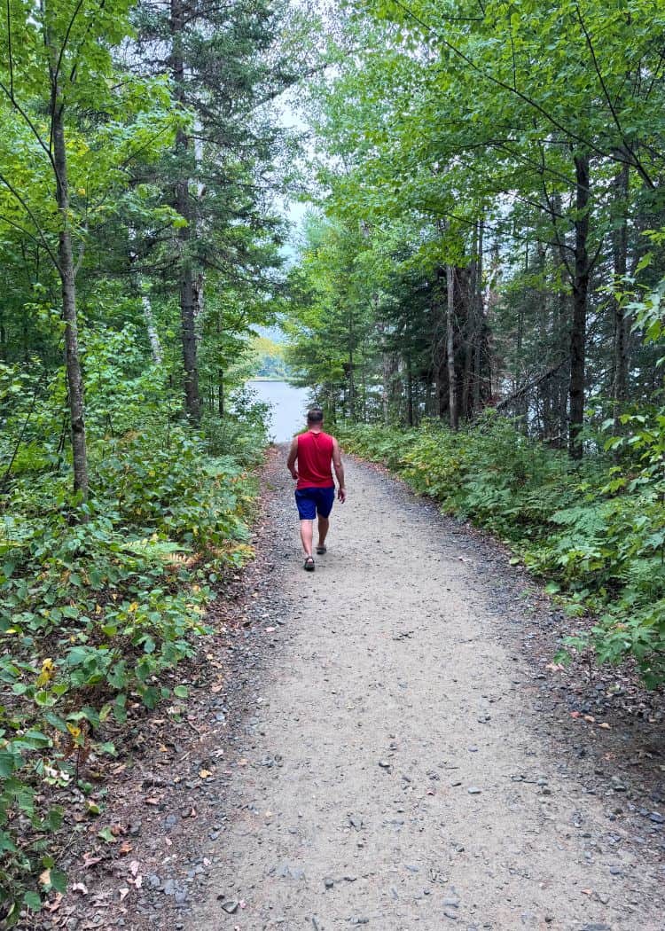 Arrowhead Provincial Park - Trail to Beach 2