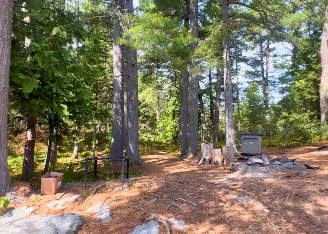 Grundy Lake Provincial Park - Backcountry site 1