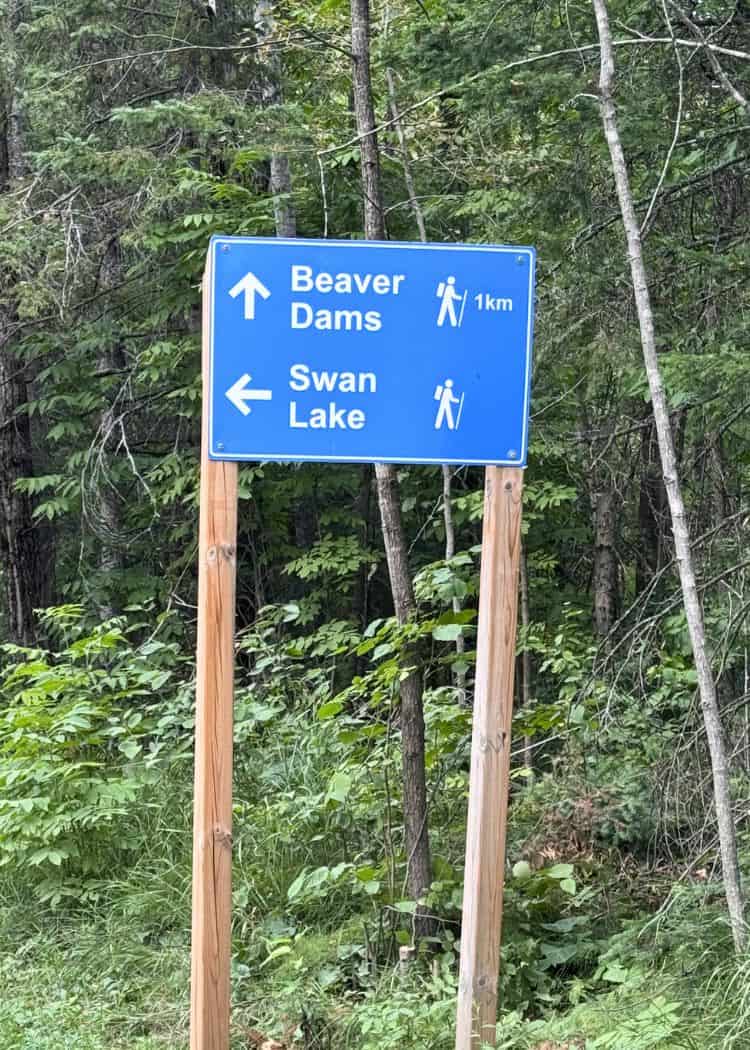 Grundy Lake Provincial Park - Hiking Trail Signs