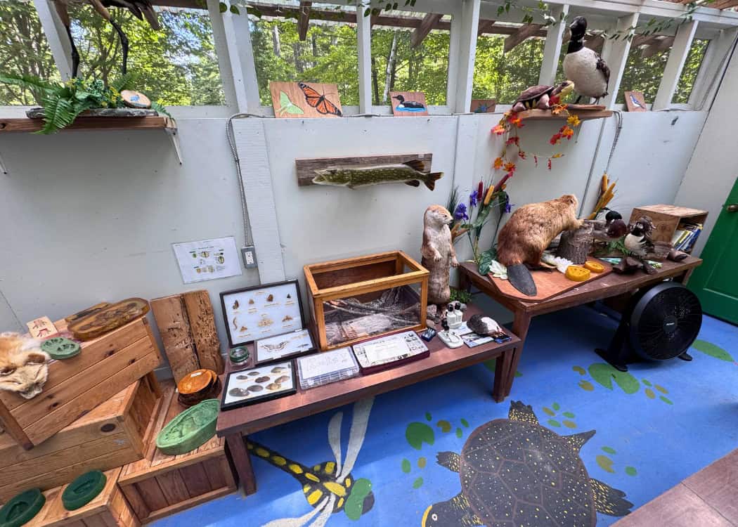 Grundy Lake Provincial Park - Inside Discovery Centre