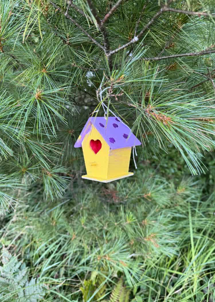 Grundy Lake Provincial Park - Painted Bird House