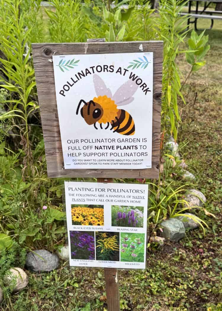 Grundy Lake Provincial Park - Pollinator Garden Sign