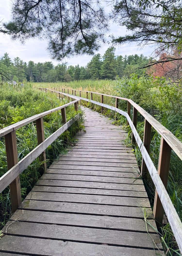 Grundy Lake Provincial Park - Wooden Boardwalk on Swan Lake Trail