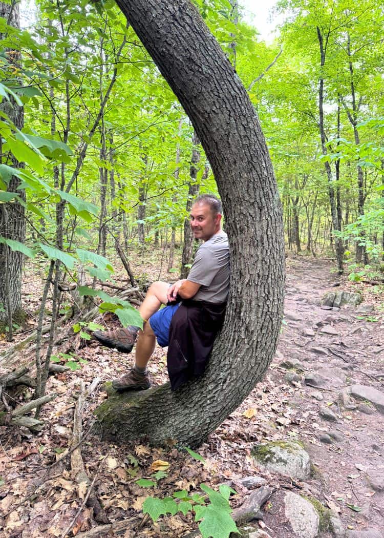 Restoule Provincial Park - John taking a break while on the trails