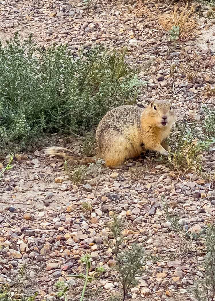 Grasslands-Camping-visitor