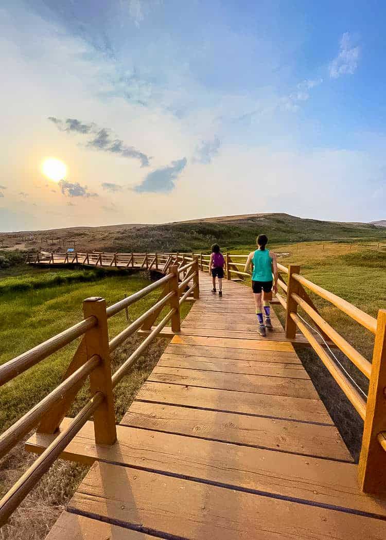 Grasslands NP - Kids walking on wooden boardwalk trail