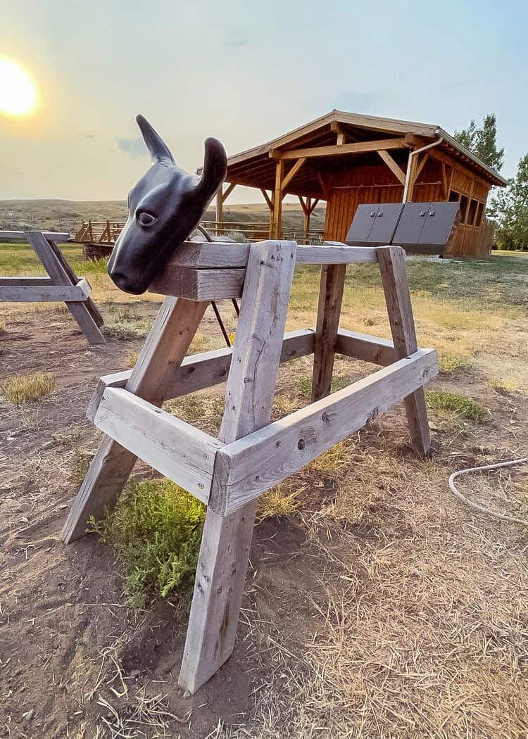 Grasslands NP - Picnic shelter in background with wooden animal in the forefront