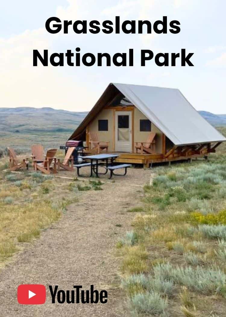 Grasslands NP - oTENTik Walkthrough YouTube Short Thumbnail